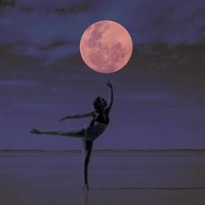 Meet your Posher, Danica